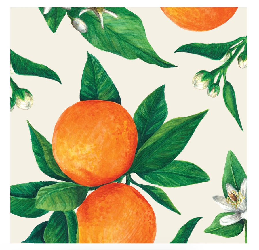 Hester & Cook Orange Orchard Napkins