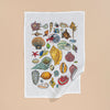 Sea Shells Tea Towel - White