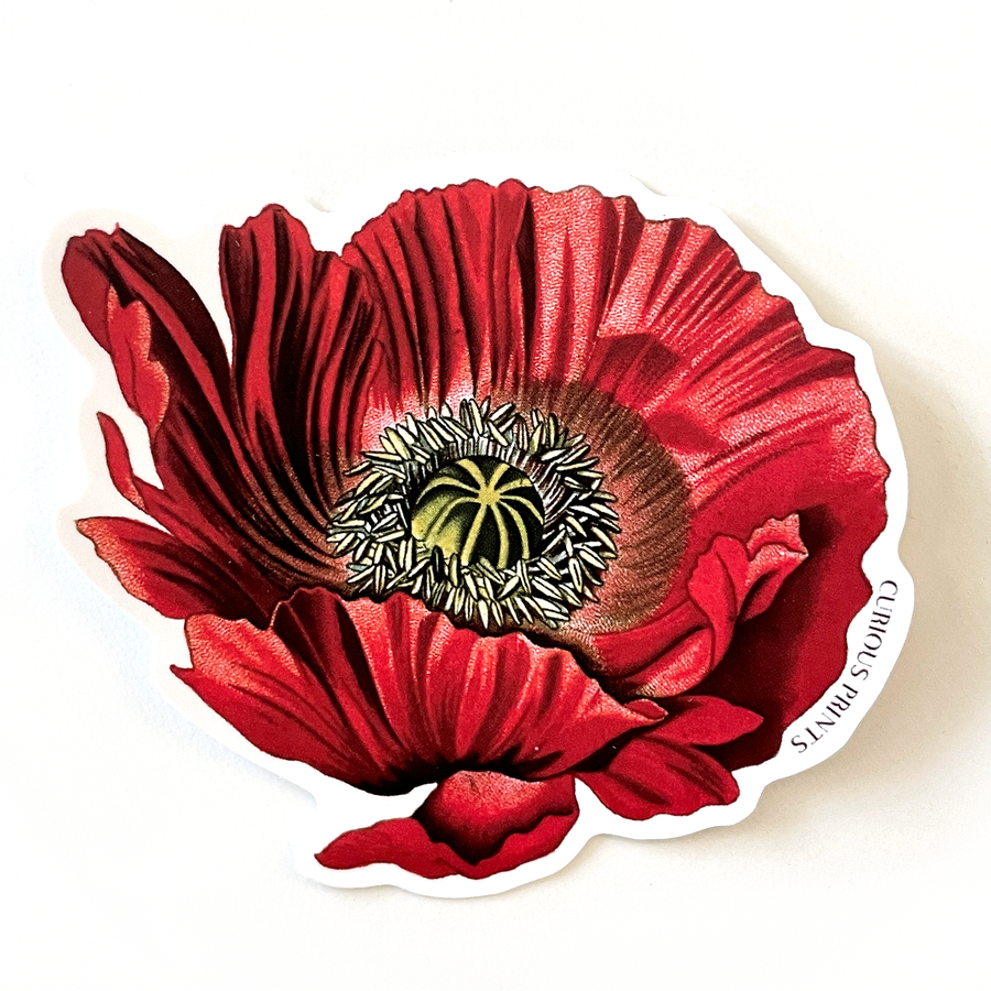 Vintage Botanical Poppy Flower Waterproof Sticker