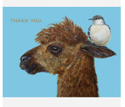 Hester & Cook Thank You Card