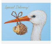 Hester & Cook Special Delivery Card