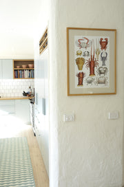 Poster - Aussie Crustacean