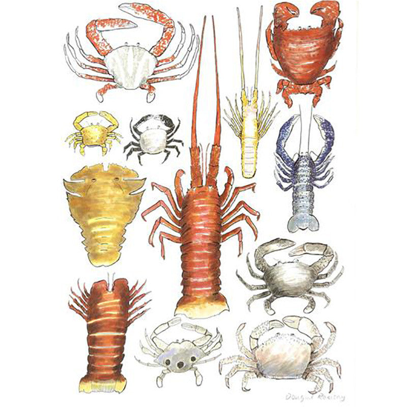 Poster - Aussie Crustacean